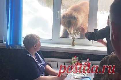 Любопытный медведь на Камчатке попросился на завтрак к людям и попал на видео