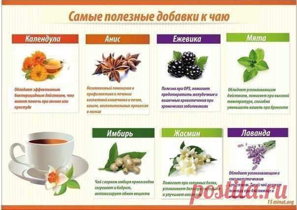 Будем здоровы!  Самые полезные добавки к чаю