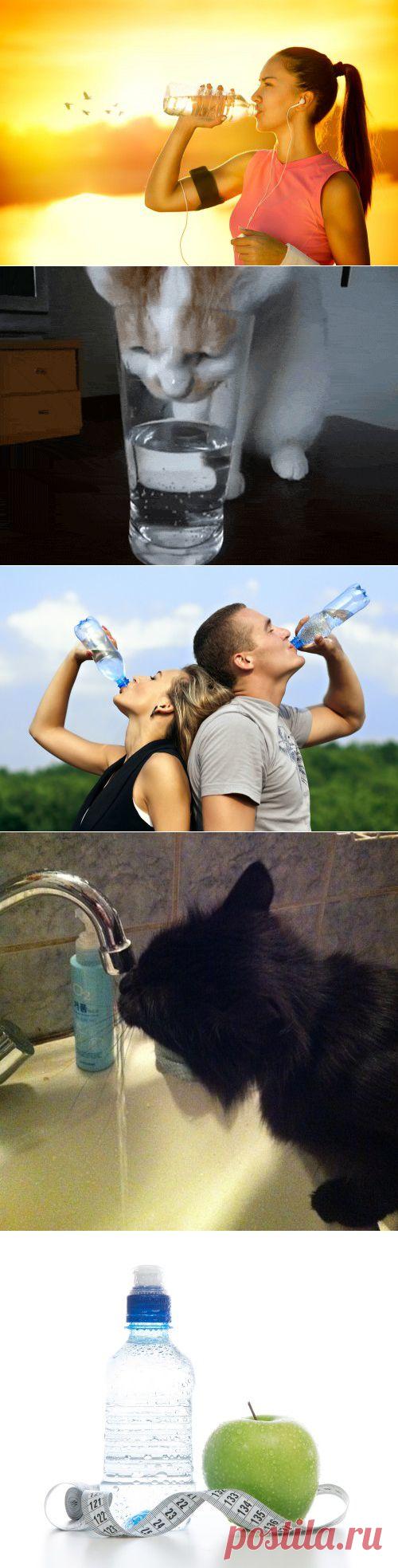 Как приучить себя пить много воды - Лайфхакер
