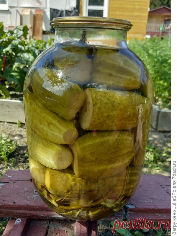Хрустящие маринованные огурцы