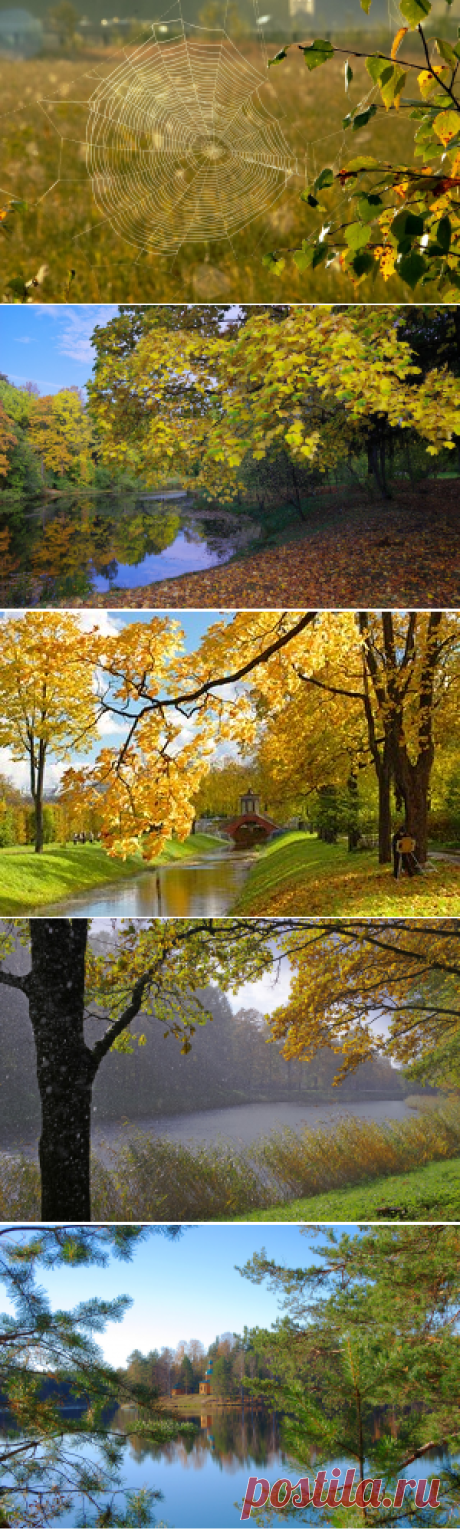Яндекс.Фотки