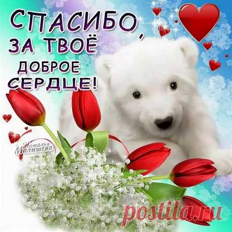 Спасибо за твое доброе сердце!