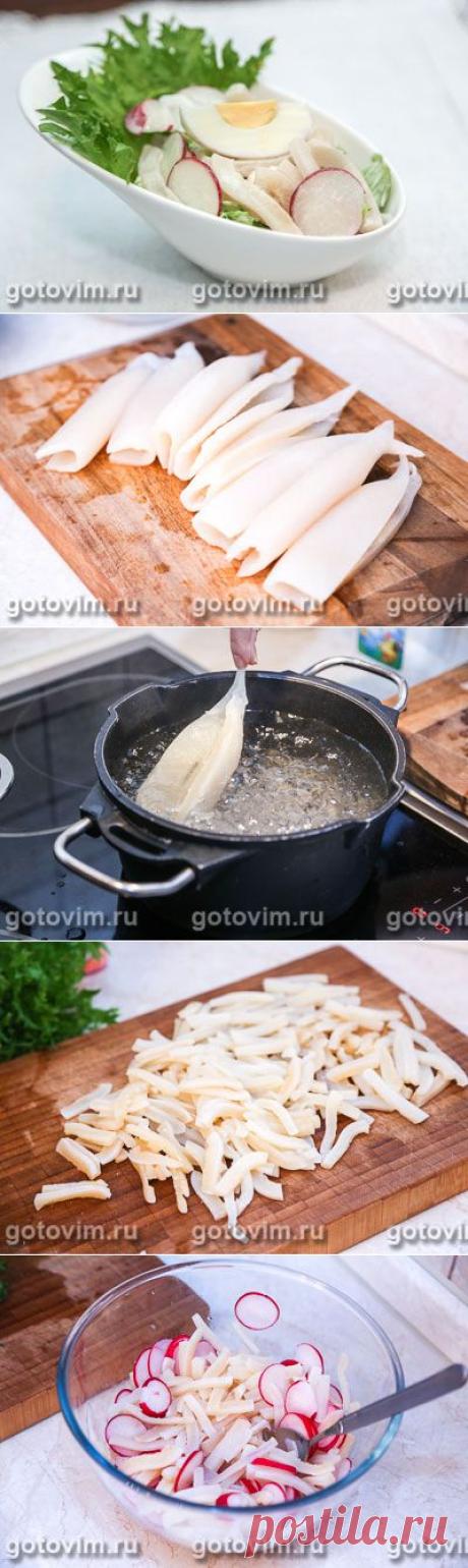 Салат из кальмаров с редиской. Фото-рецепт / Готовим.РУ