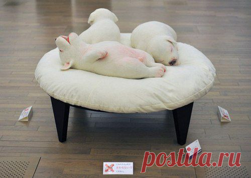 Ideas and Decor | ВКонтакте