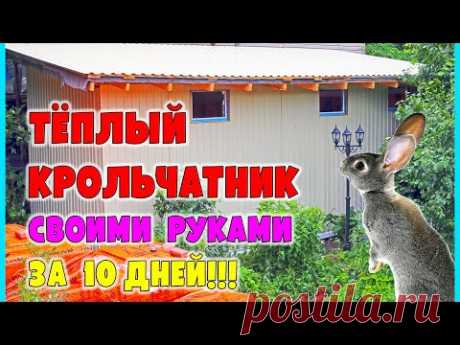 НОВЫЙ УТЕПЛЕННЫЙ КРОЛЬЧАТНИК ЗА 10 ДНЕЙ!! Как построить  помещение для животных, птицы своими руками