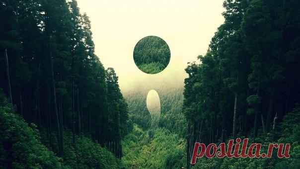 50 СПОСОБОВ НАЧАТЬ ПРЕДЛОЖЕНИЕ НА НЕМЕЦКОМ  / Изучение немецкого языка