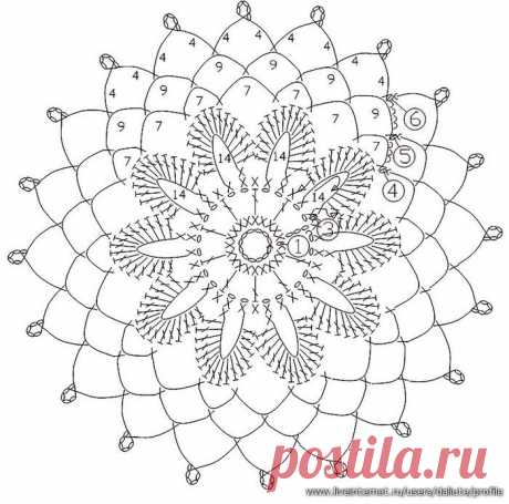 Без заголовка