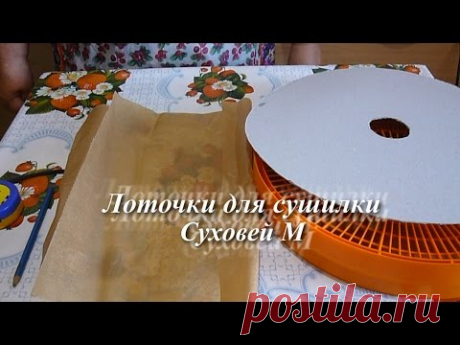 Любовь Зиброва. Лоточки для сушилки Суховей М. - YouTube