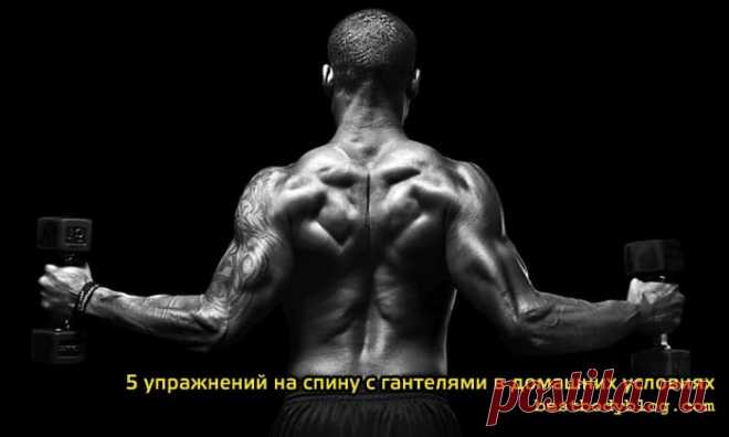 5 упражнений на спину с гантелями в домашних условиях | bestbodyblog.com