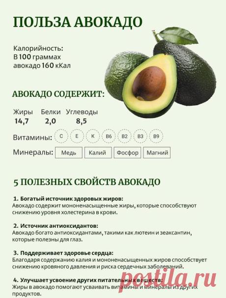 Польза авокадо