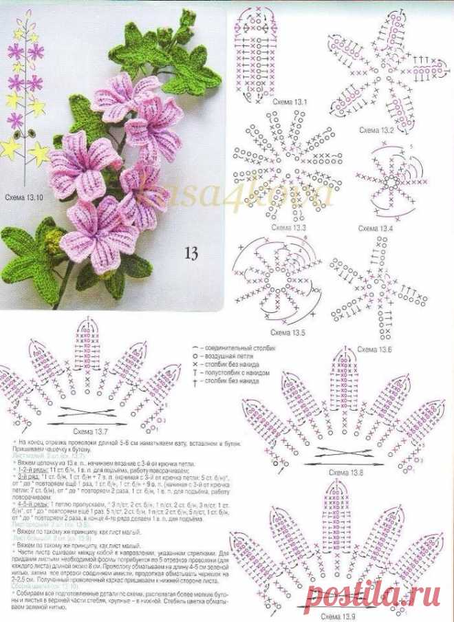 Flores