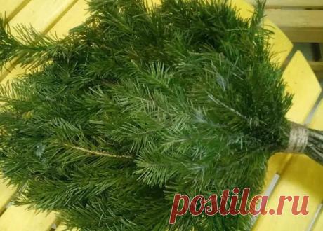 ВЕНИКОМ ПО ЧИРЬЯМ - Домоводство - медиаплатформа МирТесен