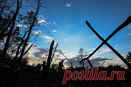 Награжденный Залужным гранатометчик ВСУ погиб в зоне СВО