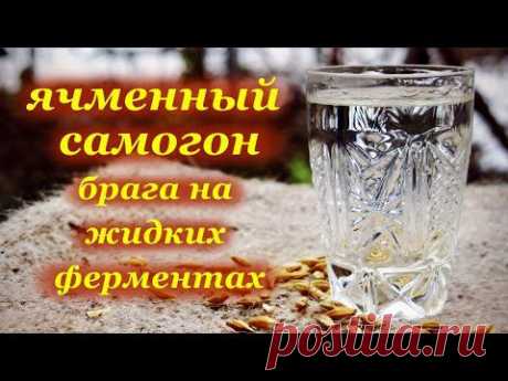 Ячменный самогон, тест жидких ферментов - YouTube