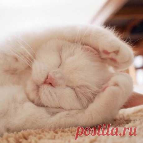 Я в домике