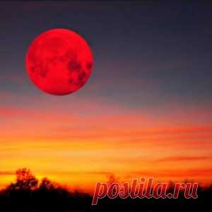 НЕ ПРОПУСТИТЕ! 14 НОЯБРЯ СУПЕРЛУНИЕ.