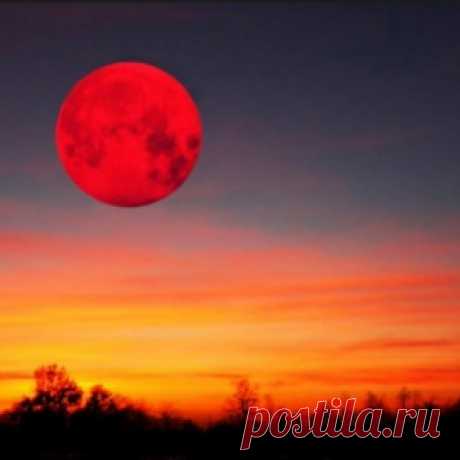 НЕ ПРОПУСТИТЕ! 14 НОЯБРЯ СУПЕРЛУНИЕ.