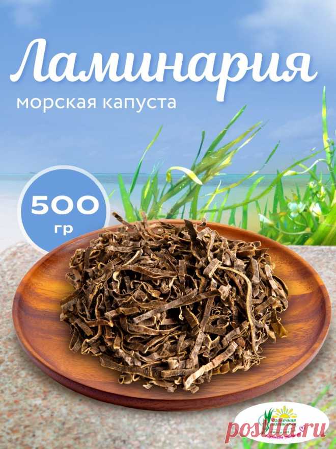 Морская капуста водоросли ламинария Солнечная ламинария 94120627 купить за 493 ₽ в интернет-магазине Wildberries