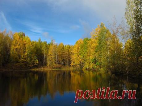 ПРО ВСЁ И ОБО ВСЁМ.
Юрий Власов