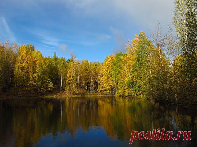 ПРО ВСЁ И ОБО ВСЁМ.
Юрий Власов