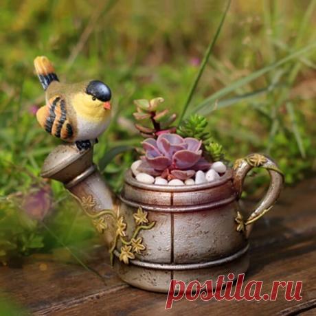 Composições originais com suculentas Discussão na LiveInternet - Russian Online Diary Service