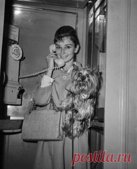 Секреты стиля Одри Хепберн