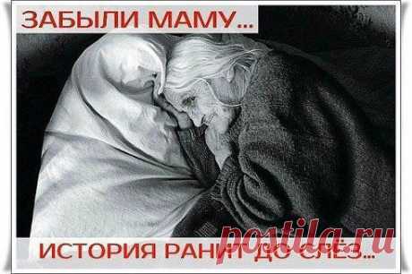 (6) Одноклассники