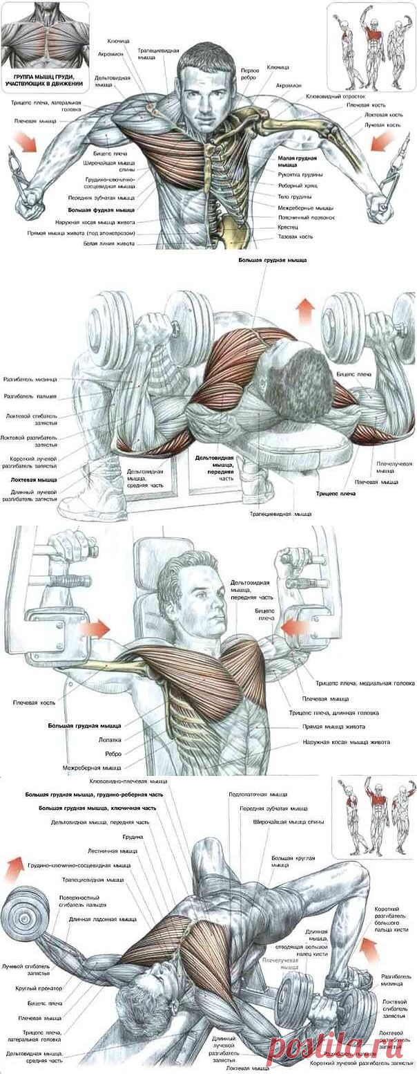Одноклассники