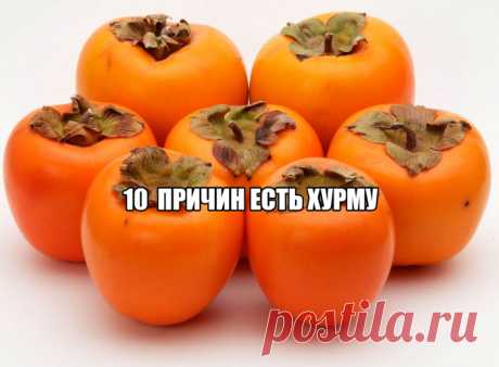 10 ПРИЧИН ЕСТЬ ХУРМУ