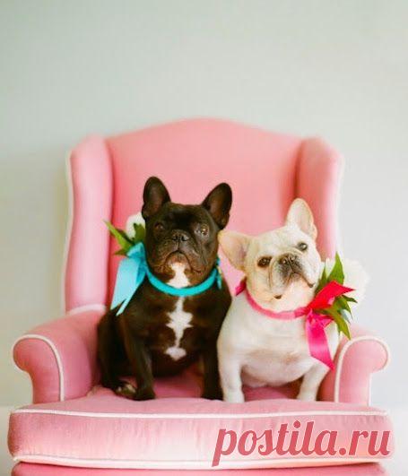 "WebКолорит" - Подарки и сувениры для души и интерьера – Google+