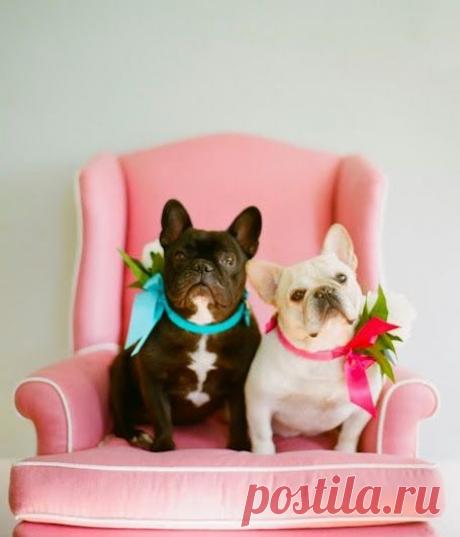 &quot;WebКолорит&quot; - Подарки и сувениры для души и интерьера – Google+