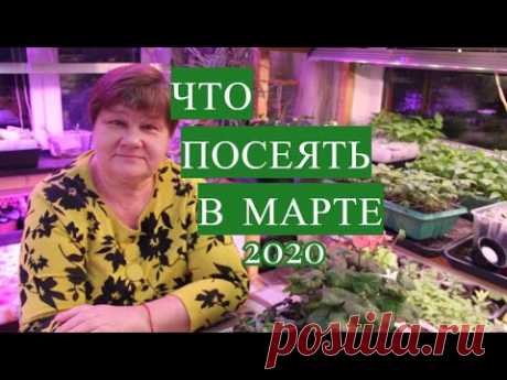 НЕ УПУСТИТЕ ВРЕМЯ! ЧТО ПОСЕЯТЬ В МАРТЕ. 2020