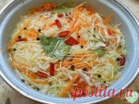 Остренькая капуста быстрого приготовления.
Вкуснятина
Итак, нашинковать 2 кг свежей капусты, натереть 3-4 морковки на крупной терке,4 зубчика крупного зимнего чеснока порезать.

Залить маринадом немного остывшим: на 1 литр воды - 1/2 стакана сахара,2ст.л крупной соли с горкой, 10 штучек перца горошком, 5 гвоздичек, 4 шт. лаврового листа - прокипятить 10 минут, добавить 1/2 стакана растительного масла и 1/2 стакана 9% уксуса.

Придавить гнетом до полного остывания, переложи...