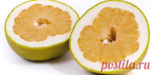 Помело | Кафе "Вокзалъ"