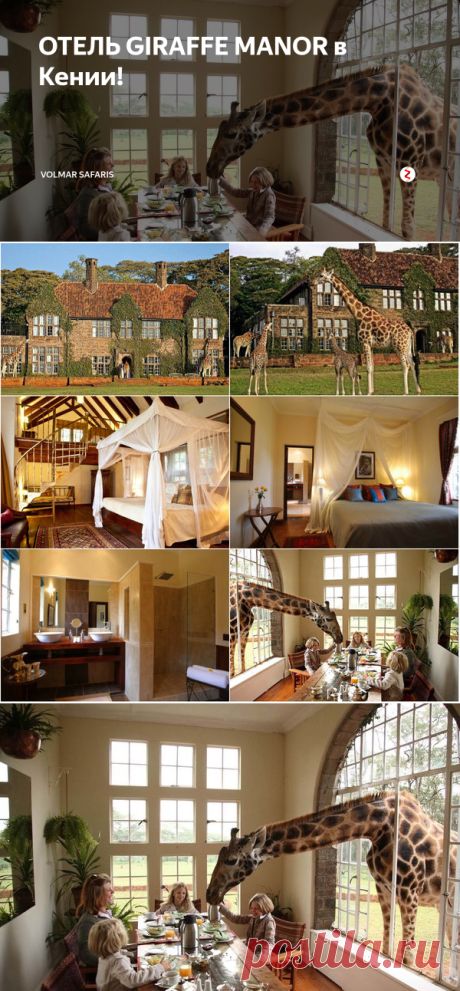 ОТЕЛЬ GIRAFFE MANOR в Кении! | Volmar Safaris | Яндекс Дзен