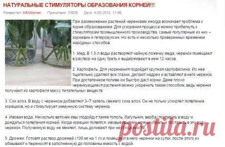 НАТУРАЛЬНЫЕ СТИМУЛЯТОРЫ ОБРАЗОВАНИЯ КОРНЕЙ!!!