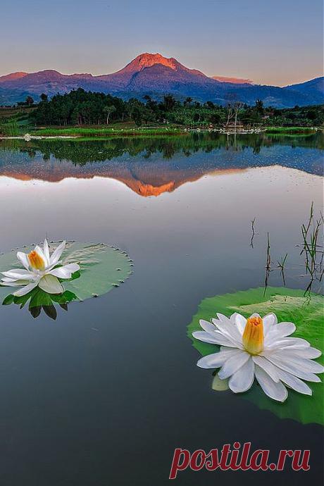 Филиппины
socorro bezerra приколол(а) это к доске Amazing Views around the Worl…