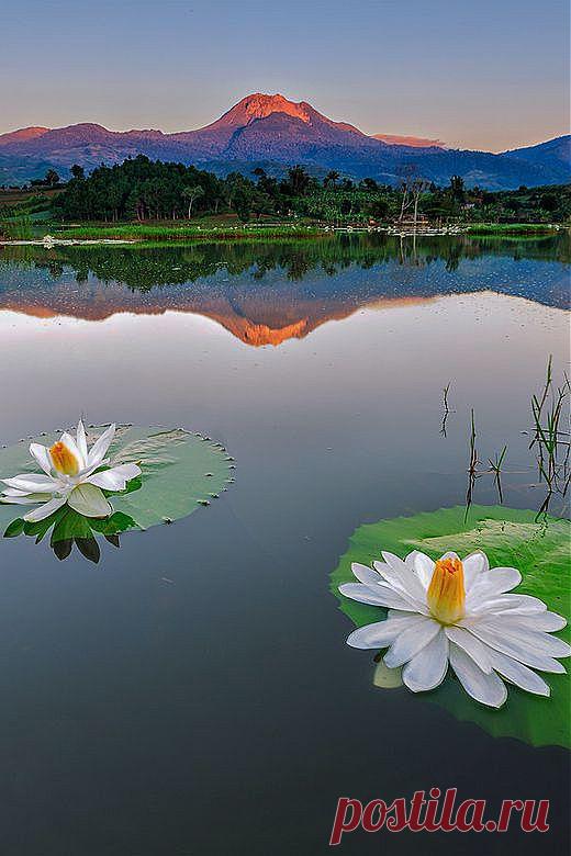 Филиппины
socorro bezerra приколол(а) это к доске Amazing Views around the Worl…