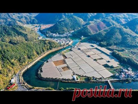 International reactions to President Xi's New Year address - 2021