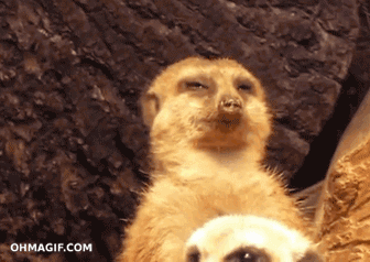 (25) Мой Мир@Mail.Ru