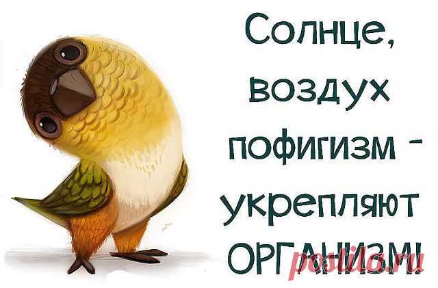 Одноклассники