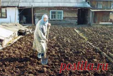 Любить по-русски: о смерти русской бабушки говорила вся Япония