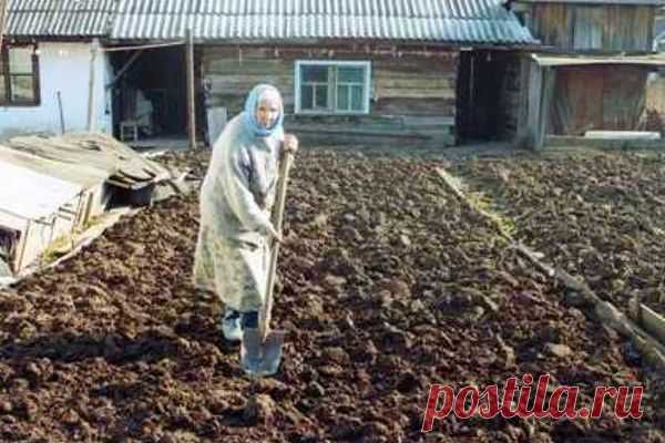 Любить по-русски: о смерти русской бабушки говорила вся Япония