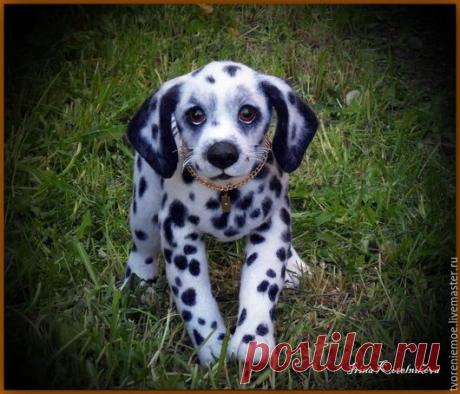 Купить Щенок далматинца. - чёрно-белый, щенок, щенок из шерсти, далматинец, далматин из шерсти