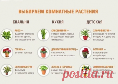 #советы