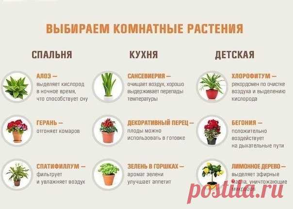 #советы