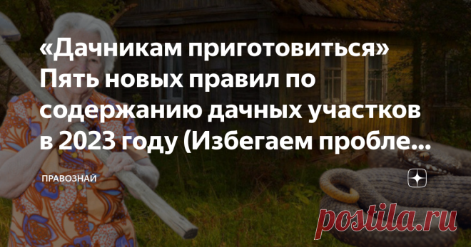 «Дачникам приготовиться» Пять новых правил по содержанию дачных участков в 2023 году (Избегаем проблем и штрафов при ведении дачного хозяйст Недавно моя супруга разговаривала с родственниками из Московской области. А потом возмущенно рассказала мне, что ее тётю оштрафовали за…  убийство гадюки на дачном участке! Что за фигня? То есть, пусть бы ядовитая гадина ее укусила?🤷‍♀️ Душераздирающие подробности схватки тети Люды со змеей и то, как она получила штраф, читайте в кон...
