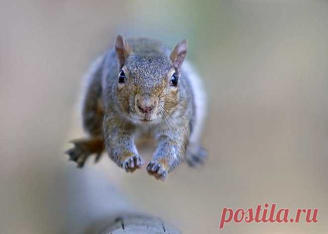 Magical Nature Tour The jump by Stefano Ronchi on 500px.com