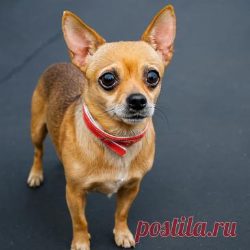 Сердце в коробке - OGADANIE.RU