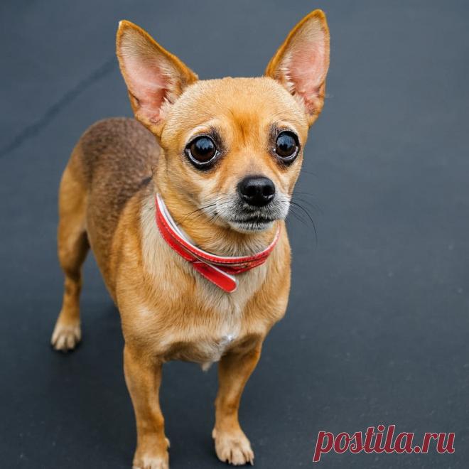 Сердце в коробке - OGADANIE.RU